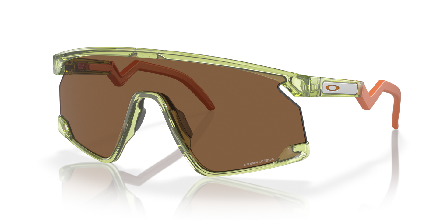 BXTR Trans Fern