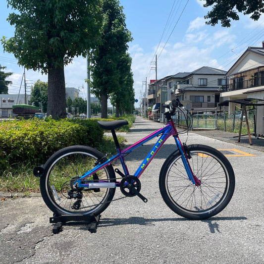 DONKY JR 22 LTD Galaxy