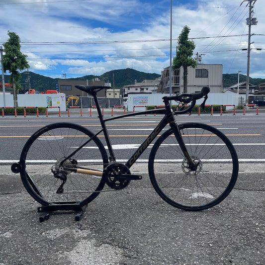 DOLOMITI DISC Brown