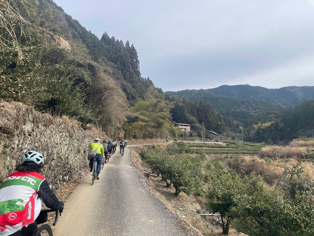 新年営業開始、お年玉セールのお知らせ