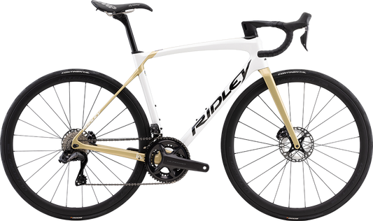 RIDLEY 2023 Fenix SLiC Champagne - リドレー フェニックス スリック シャンパーニュ 受注しています - 高知の自転車専門店 Cycling Shop ヤマネ