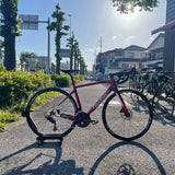 Wilier Triestina GTR Team Disc JAPAN Ltd Velvet Red S size - ウィリエールトリエスティーナ GTRチームディスク 日本限定カラー ヴェルベットレッド Sサイズ - 高知の自転車専門店 Cycling Shop ヤマネ