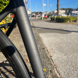 DOMANE AL 2 Gen 4 Lithium