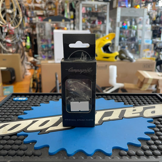 Campy BB Bearings