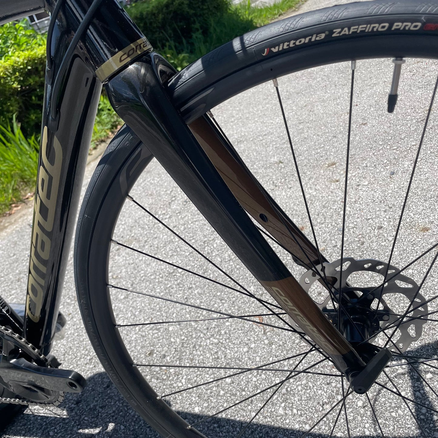 DOLOMITI DISC Brown