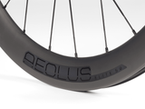 Aeolus Elite 50 TLR Disc Road ”TREK FEST"