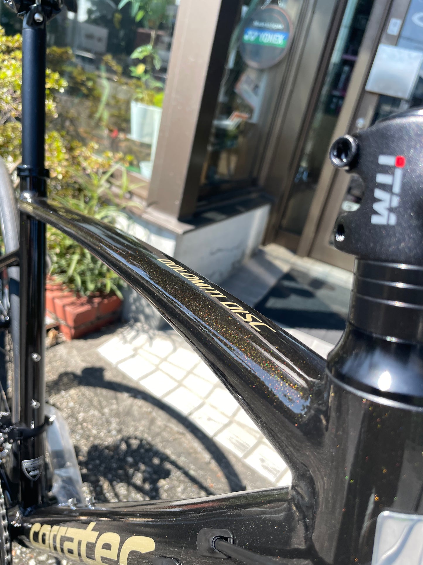 DOLOMITI DISC