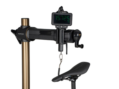 BIKE SCALE TEAM ISSUE