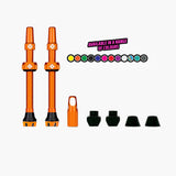 Tubeless Valves V2