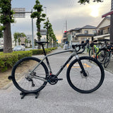 CHECKPOINT SL 5 Grey