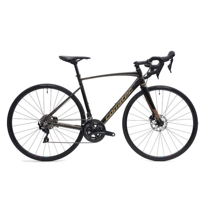 Corratec DOLOMITI DISC 105 Dark Brown/Khaki - コラテック ドロミテディスク 新型105搭載 ダークブラウン/カーキ - 高知の自転車専門店 Cycling Shop ヤマネ